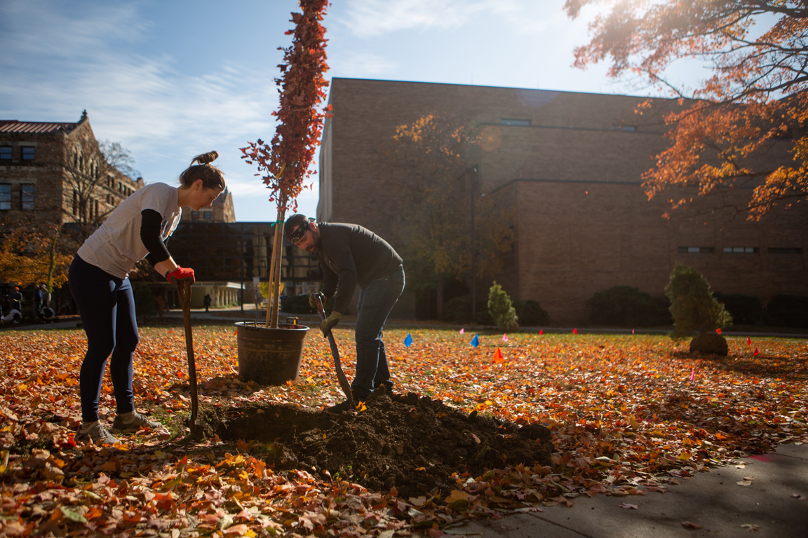 Two volunteers digging a hole for Replant Mount Oread in the green space between campus buildings.